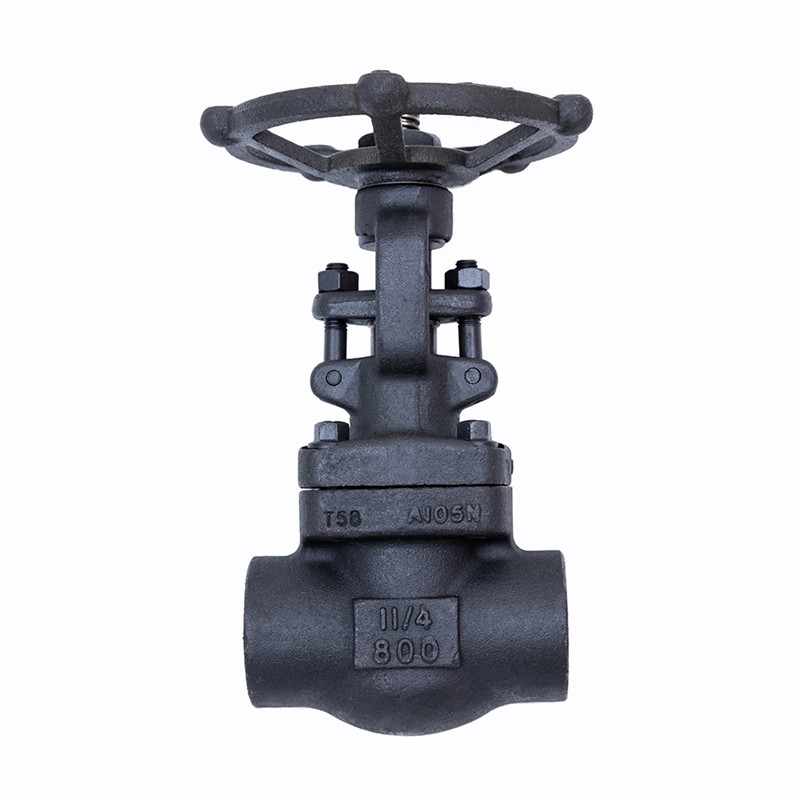 Valvola a saracinesca forgiata 800LBS