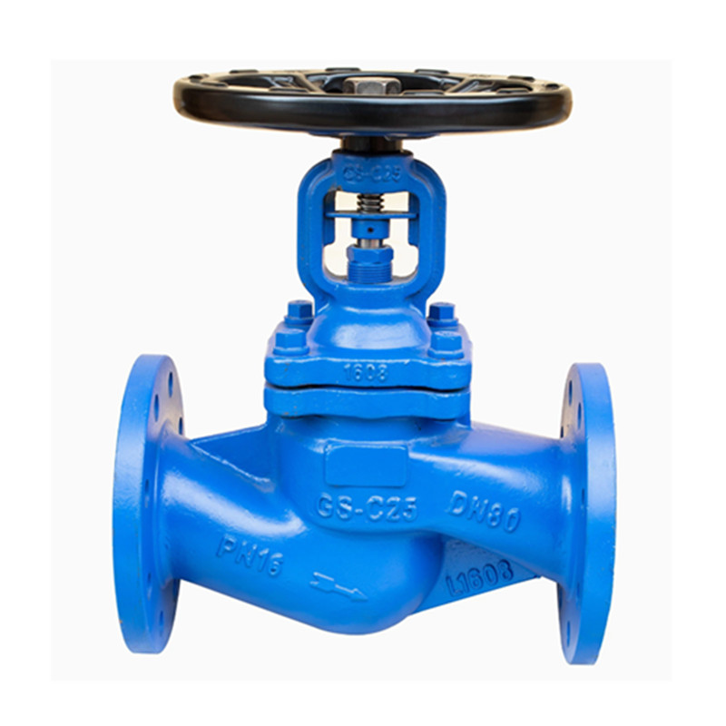 GS-C25 Flanged Standard Bellow Globe Valvola di guarnizione