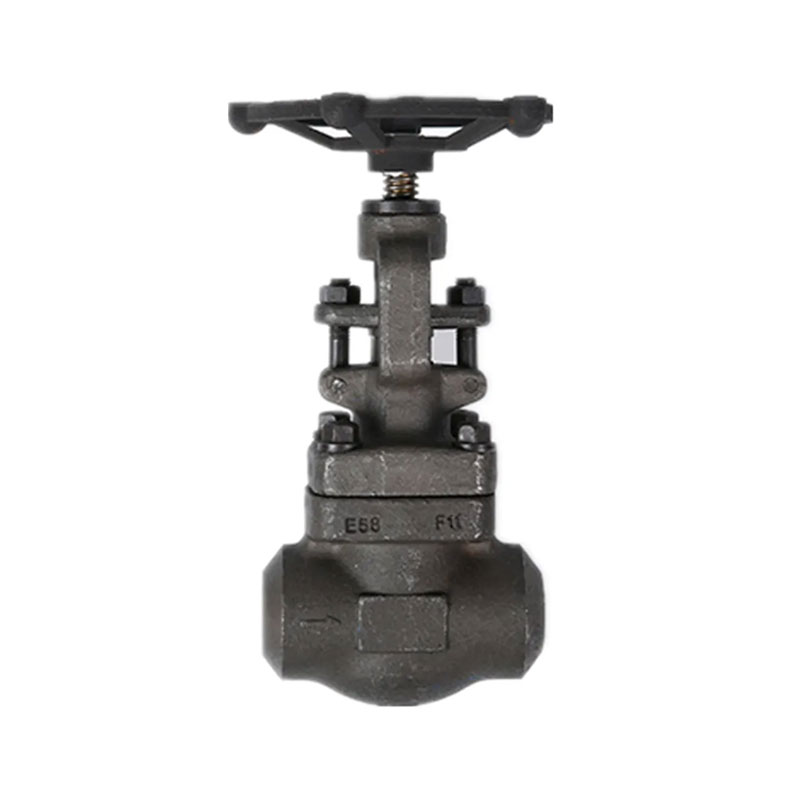 Forged Gate Valve